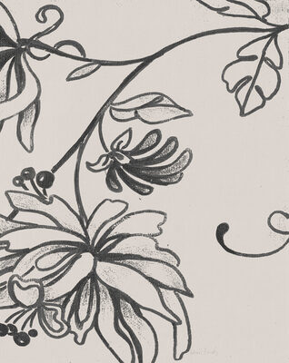 Image Not Available